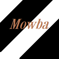 Mowba_Palundu_Profilbild