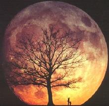 magic_moon