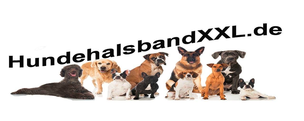 HundehalsbandXXL_Hintergrundbild_Shop