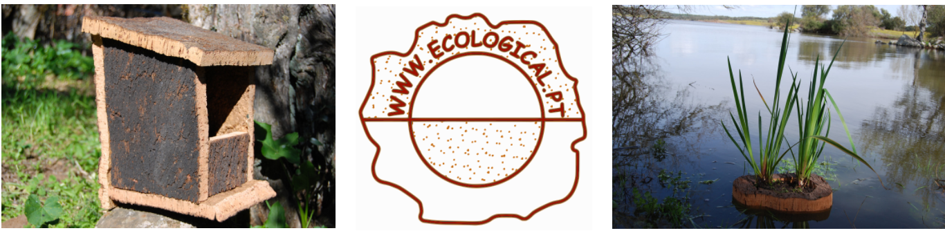 Ecological_Hintergrundbild_Shop