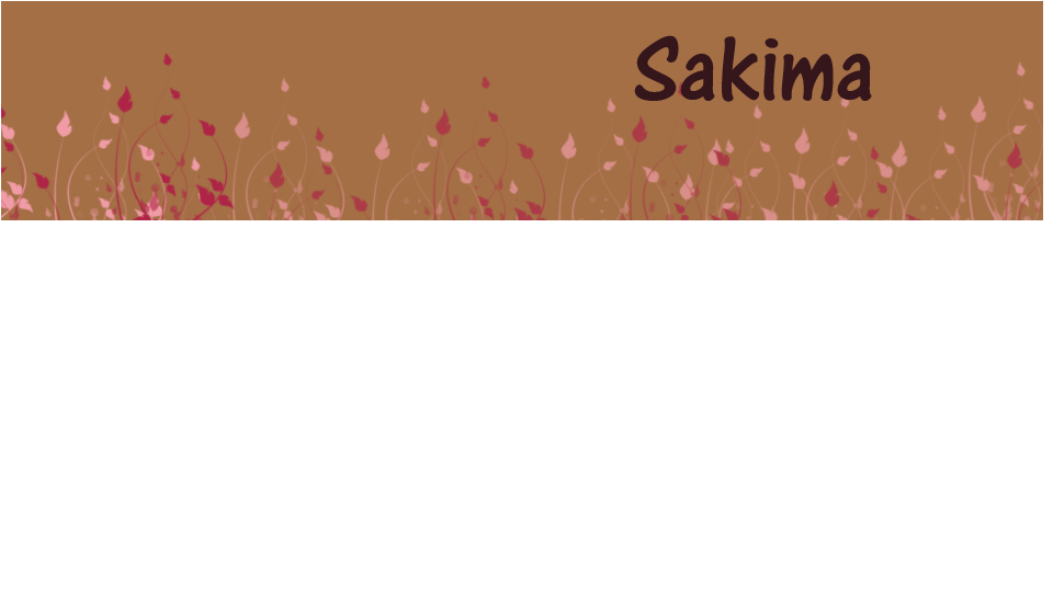 Sakima_Hintergrundbild_Shop