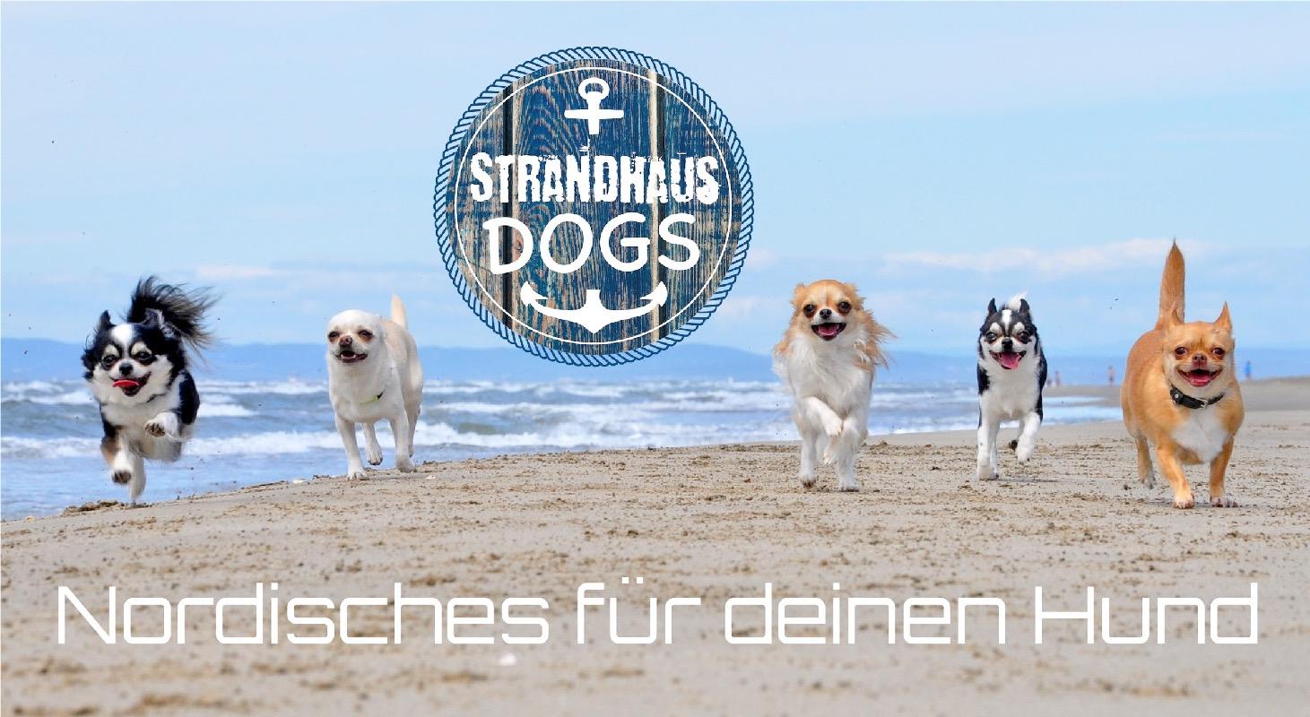 StrandhausDOGS_Hintergrundbild_Shop