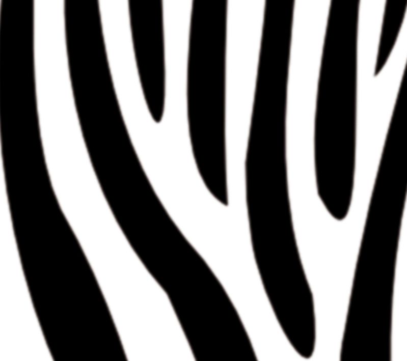 Wandbordüre - selbstklebend | Zebrastreifen - weiß farbig - 13 cm Höhe |  Vlies Bordüre mit tierischem Muster - Zebra