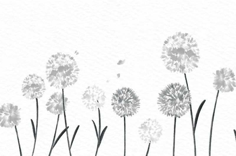 Wandbordüre - selbstklebend | Watercolor Pusteblume - grau - 20 cm Höhe |  Vlies Bordüre mit romantischem floralem Muster im Aquarell Stil