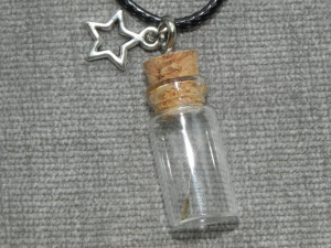 Halskette mit kleiner Glasflasche in der sich ein Löwenzahnsamen / Pusteblume befindet