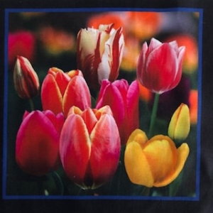 Baumwollstoff Motiv Blume Tulpen 18cm mal 18cm   - Handarbeit kaufen