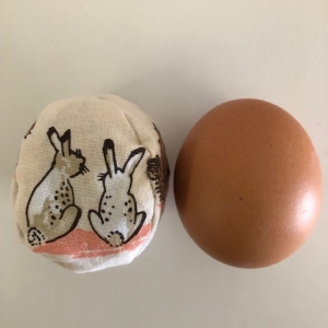 1 Rebeccs / Ostereierdummys / Ostereiattrappe / Hühnereierdummy für Eierschleuder, Eierlauf oder zum Jonglieren