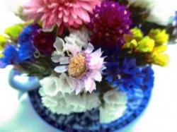 China Tasse gefüllt mit Blumen, 9cm