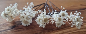  Zartes Haarschmuck 5 x Haarnadel Konserviertes Schleierkraut Weiß Beige Trockenblumen Boho Hochzeit Brautschmuck Blumen Hochzeit  