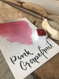 Pink Grapefruit Watercolor, Aquarell, halber Napf