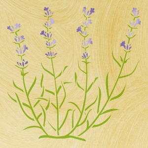 Schablone Lavendel, 44 x 44 cm