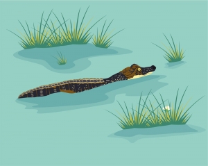 freshwater crocodile, 60 x 84 cm, 3 farbgetrennte Schablonen
