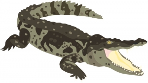 crocodile, 30 x 21 cm, 3 farbgetrennte Schablonen