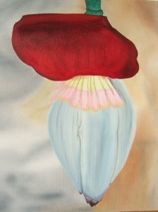 *Kakaoblüte* - Ölmalerei auf Keilrahmen 40x30 cm
