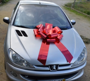 Riesen Auto Schleife, Mega car bow, Rosette, rot, Geburtstagsgeschenk, Geschenkschleife XL