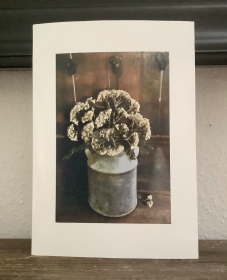 Fotodruck, Fotografie von echten gepressten Blüten der Schafgarbe, Pflanzen, Wiesenblumen, Landhausstil, Vintage - Handarbeit kaufen