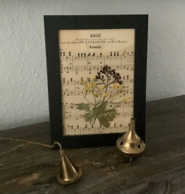 Blumenbilder, Holzbilderrahmen, Fotobilderrahmen - Echte gepresste kleine Blüten auf einem alten Notenblatt  -  - Handarbeit kaufen