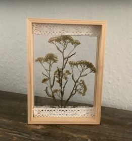 Schweberahmen, Herbarium, Blumenbilder - Echte gepresste Schafgarbenblüten in einem  Herbarium  - Handarbeit kaufen