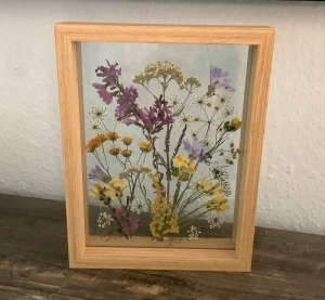 Schweberahmen, Herbarium, Blumenbilder - Echte gepresste Blüten einer Blumenwiese in einem Herbarium - Handarbeit kaufen