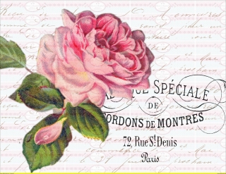 Bügelbild Paris Rose Schrift Blume Shabby Chic Vintage A4 NO.1499