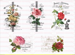 5 Bügelbilder auf A4 -Vintage Shabby French Rose Rosen - Blumen - NO. 1567