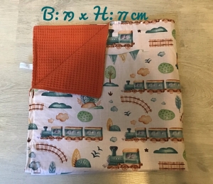 Babydecke  ❤️ Decke ❤️ mit Waffelpique ❤️ Geschenk ❤️ Unikate  - Eisenbahn - Handarbeit kaufen