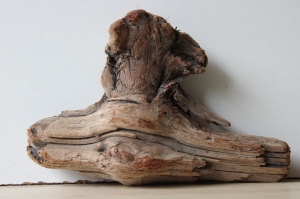 Treibholz Schwemmholz Driftwood  1 knorrige Skulptur 18 cm hoch - Handarbeit kaufen