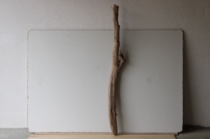 Treibholz Schwemmholz Driftwood  1 MEGA   Ast  Garderobe  124  cm   - Handarbeit kaufen