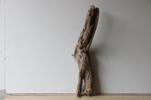 Treibholz Schwemmholz Driftwood  1 XXL  Stamm  83 cm  - Handarbeit kaufen