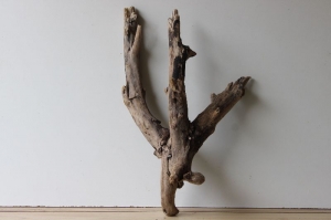 Treibholz Schwemmholz Driftwood  1 XXL  Wurzel  70 cm hoch   - Handarbeit kaufen