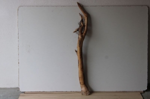 Treibholz Schwemmholz Driftwood  1 XXL  Ast  Garderobe   102  cm   - Handarbeit kaufen