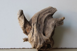 Treibholz Schwemmholz Driftwood  1 knorrige   Skulptur 20 cm   - Handarbeit kaufen