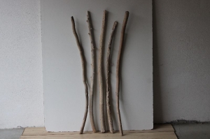 Treibholz Schwemmholz Driftwood  5 XXL  Äste   102 cm - 112 cm  Dekoration Garten  Weihnachten Terrarium Maritim DIY    - Handarbeit kaufen
