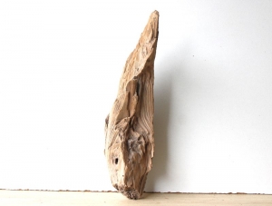 Treibholz Schwemmholz Driftwood  1 knorrige  XL  Skulptur Terrarium Dekoration Garten  44 cm **9**    - Handarbeit kaufen