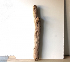 Treibholz Schwemmholz Driftwood  1 XXL  Stamm Dekoration Garten Maritim  Lampe  111  cm   - Handarbeit kaufen