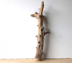 Treibholz Schwemmholz Driftwood  1 XL   Skulptur Terrarium Dekoration Garten   60 cm   - Handarbeit kaufen