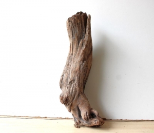 Treibholz Schwemmholz Driftwood  1 knorrige   Skulptur Terrarium Dekoration Garten Aquarium  46 cm     - Handarbeit kaufen
