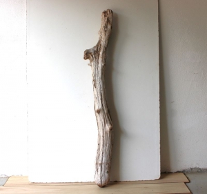 Treibholz Schwemmholz Driftwood  1 MEGA  Stamm Dekoration Garten Maritim  Lampe  130  cm     - Handarbeit kaufen