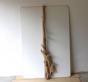 Treibholz Schwemmholz Driftwood  1 MEGA  Skulptur Dekoration Garten Maritim  Lampe  153  cm    - Handarbeit kaufen