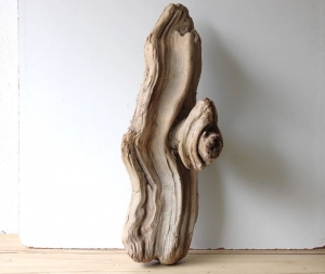 Treibholz Schwemmholz Driftwood  1 MEGA  Skulptur Terrarium Dekoration Garten Aquarium  80 cm    - Handarbeit kaufen