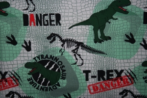 19,80Euro/m French Terry Dinosaurier