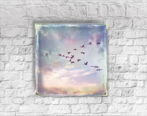 Birds 6692.190330.153738_kranicheamabendhimmel-2-w