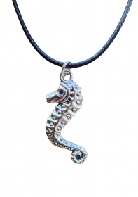 Halskette mit einem silbernen Anhänger mit einem längenverstellbaren Verschluss aus einer geflochtenen schwarzen Lederschnur.  