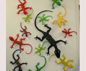Gecko Party