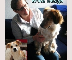 BriKe Design mit Odie und klein Snoopy