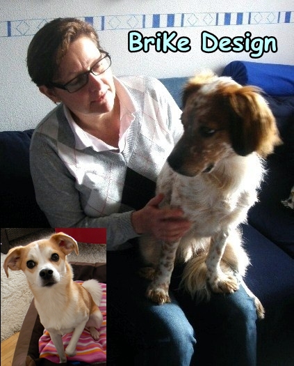 BriKe Design mit Odie und klein Snoopy