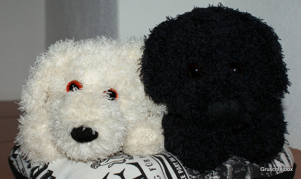 Flocke und Blacky
